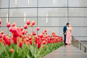 An engagement session at the University of Michigan in the Spring time with red tulips.