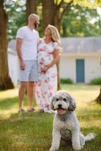 Lifestyle maternity session in holland Michigan with a dog.