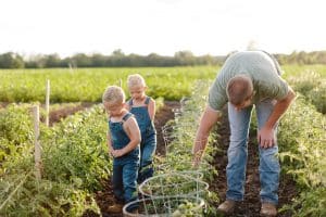 Family photography taken in the families vegetable garden.