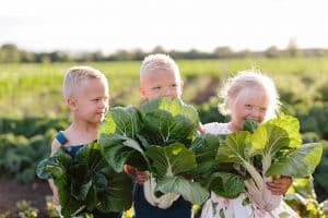 Family photography taken in the families vegetable garden.