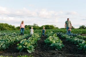 Family photography taken in the families vegetable garden.