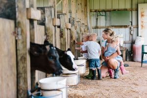 A day in the life with toddler triplets at the Dekker farm in the greater Grand Rapids area.