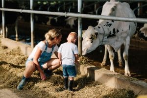 A day in the life with toddler triplets at the Dekker farm in the greater Grand Rapids area.