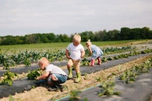 A day in the life session with toddler triplets working in the garden.