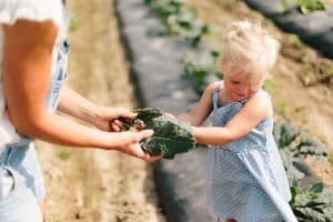 A day in the life session with toddler triplets working in the garden.