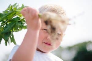 A day in the life session with toddler triplets working in the garden.