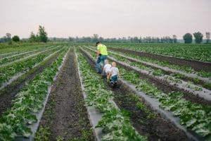 A unique family session location taking place on the family farm.