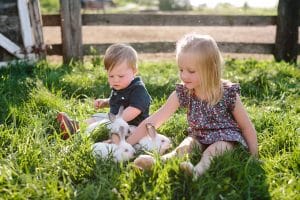 One year baby photos at a farm in Michigan.