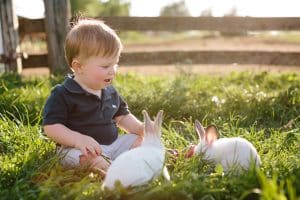 A farm animal family session near Grand Rapids, Michigan.