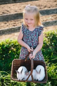 A farm animal family session near Grand Rapids, Michigan.