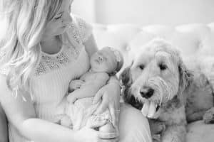 A newborn lifestyle session in a photography studio in Grand Rapids with a dog.