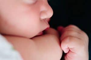 A newborn lifestyle session in a photography studio in Grand Rapids with a dog.