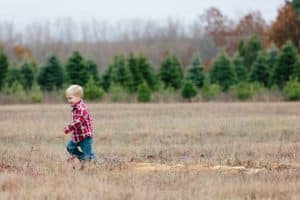 Family pictures at Vormittag Tree Farm in Grand Rapids Michigan.