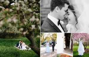 Jessi and Steven celebrated their love on a warm Spring Day with apple blossoms.