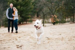 Carter and Makenzie's downtown Grand Rapids engagement session at Provin trails.