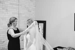 Goei Center wedding in Grand Rapids, MI.