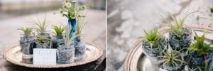 This Greenhouse wedding was photographed in Grand Rapids, MI. The inspiration includes a french bulldog, beautiful blooms, and endless wedding photo inspiration.