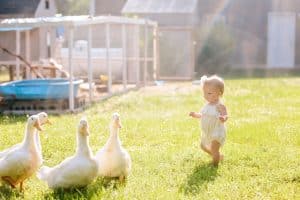Grand Rapids family photographer.