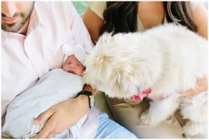 A white dog is curious and gets close to a baby girl as she lays in her fathers arms