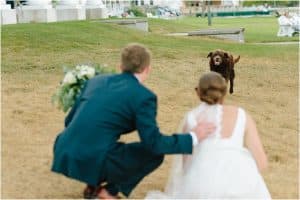 A Michigan wedding with a dog.